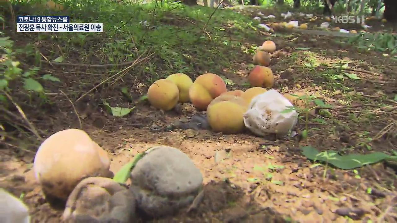 유례없는 수해…논·밭·과수원 초토화