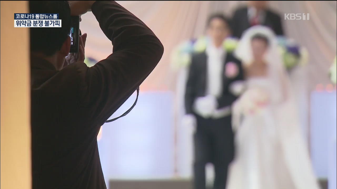 50명 이상 결혼식 금지에 예비부부 ‘날벼락’…‘위약금’ 갈등