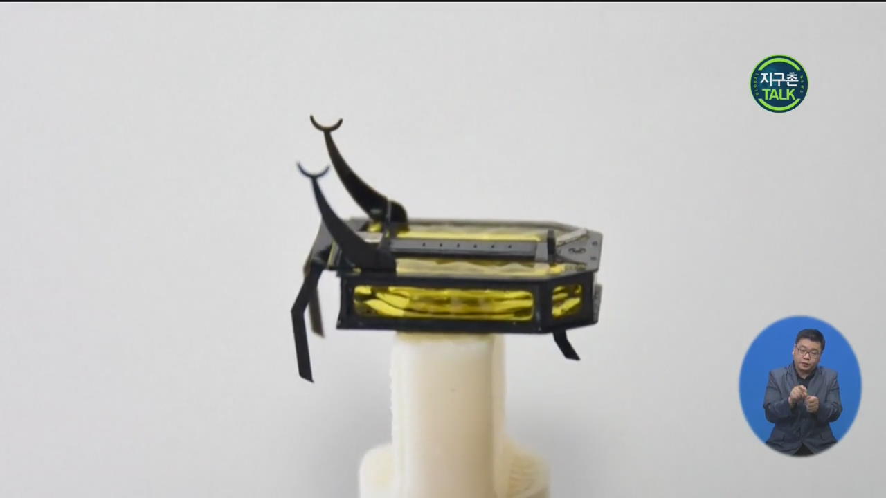 [지구촌 Talk] 미국, 메탄올 원료로 이동하는 ‘딱정벌레 로봇’ 개발