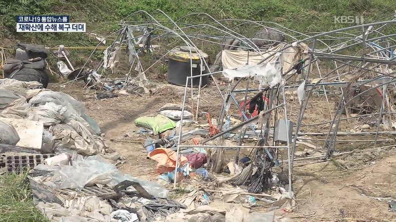 봉사 발길 ‘뚝’…코로나 확산에 수해 복구 터덕