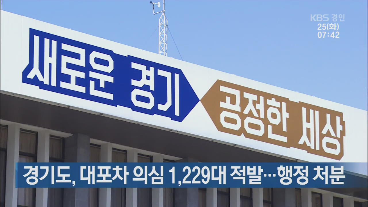 경기도, 대포차 의심 1,229대 적발…행정 처분