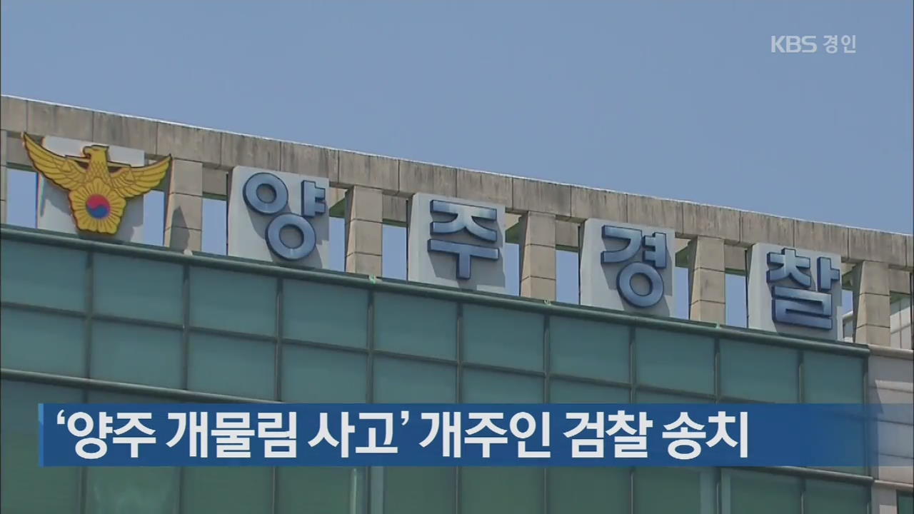 ‘양주 개물림 사고’ 개주인 검찰 송치