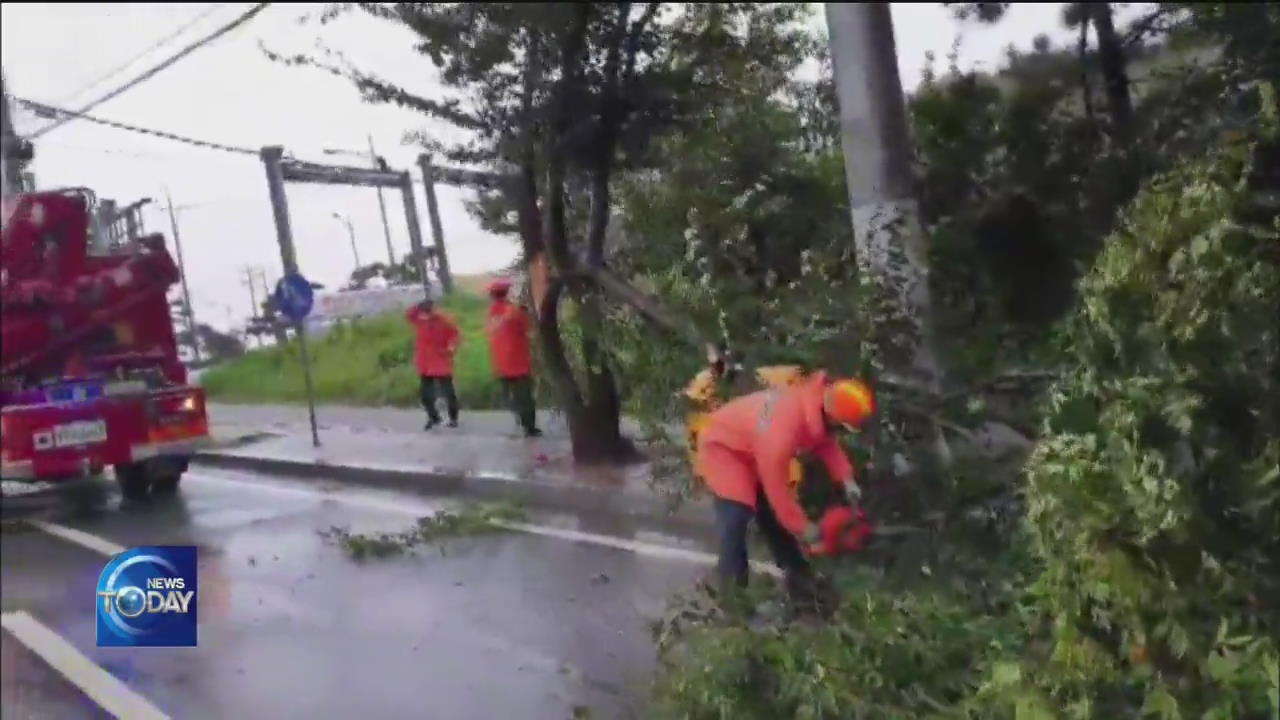 TYPHOON INFLICTS DAMAGE WITH STRONG WIND