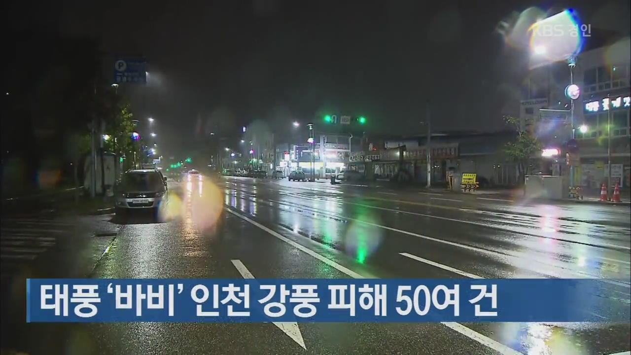 태풍 ‘바비’ 인천 강풍 피해 50여 건