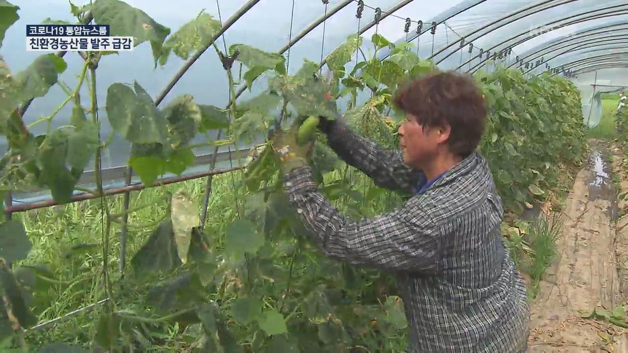 코로나19 재확산…친환경 농가 또 전전긍긍
