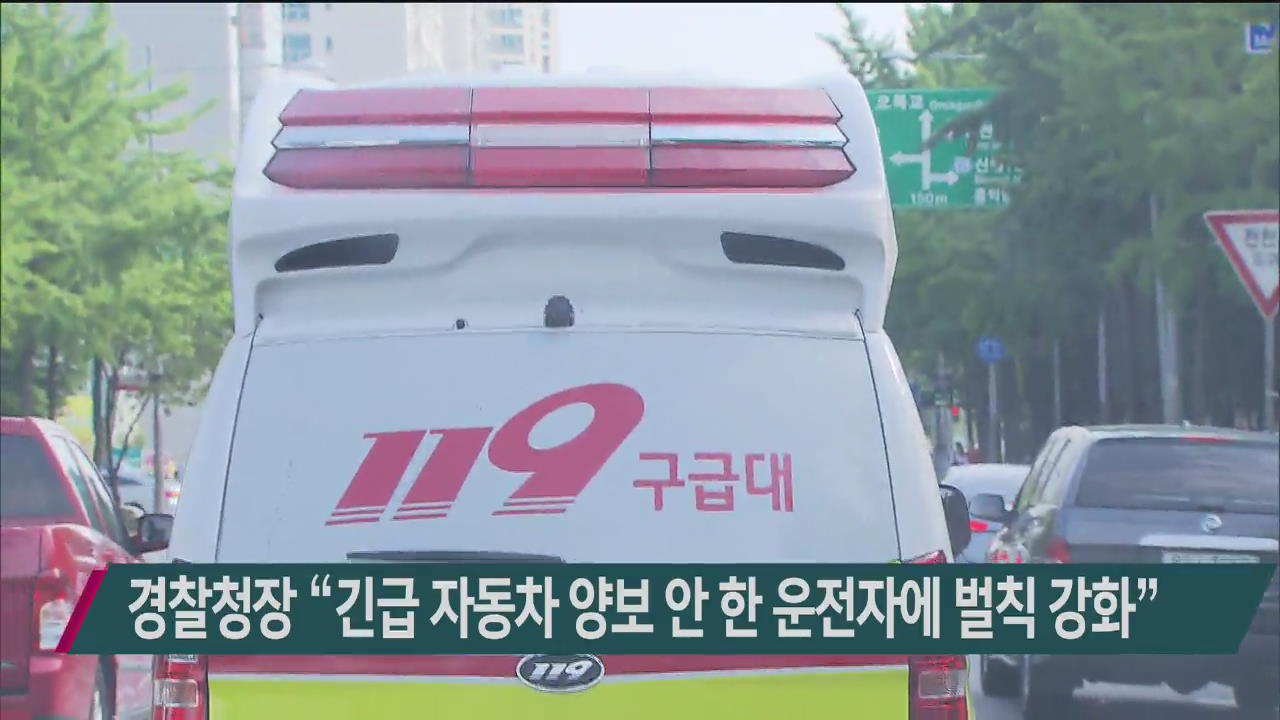 경찰청장 “긴급 자동차에 양보 안 한 운전자에 벌칙 강화”