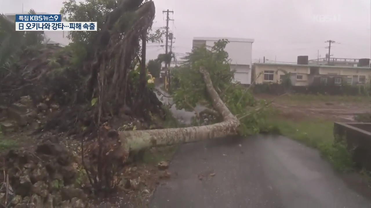 넘어진 트럭·부러진 나무…태풍 ‘마이삭’에 日도 비상