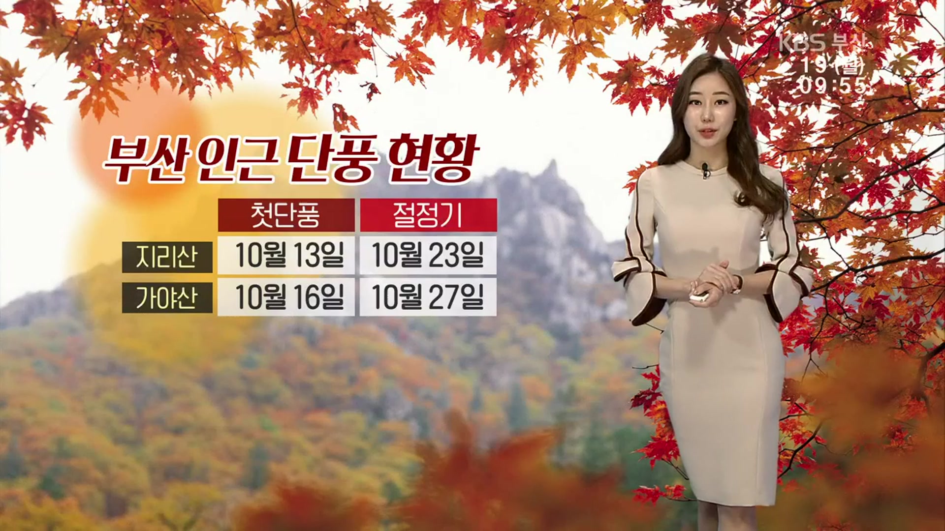 [날씨] 오늘 대체로 구름 많음…부산 인근 단풍 현황은?