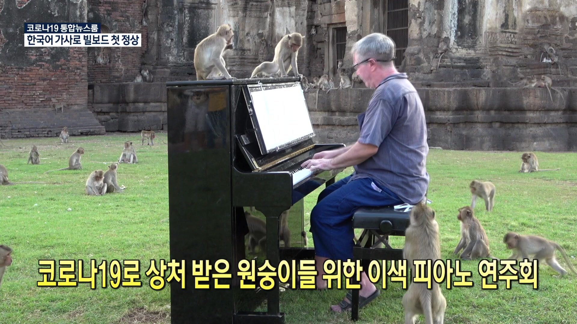 [코로나19 국제뉴스] 코로나19로 상처 받은 원숭이들 위한 이색 피아노 연주회