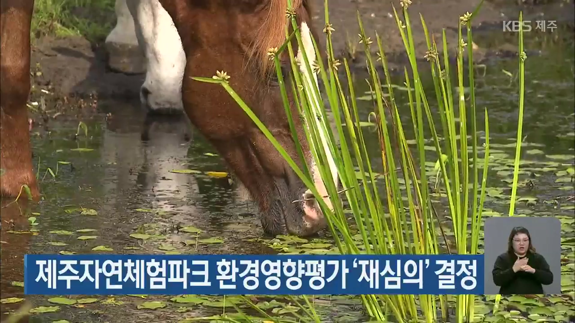 제주자연체험파크 환경영향평가 ‘재심의’ 결정