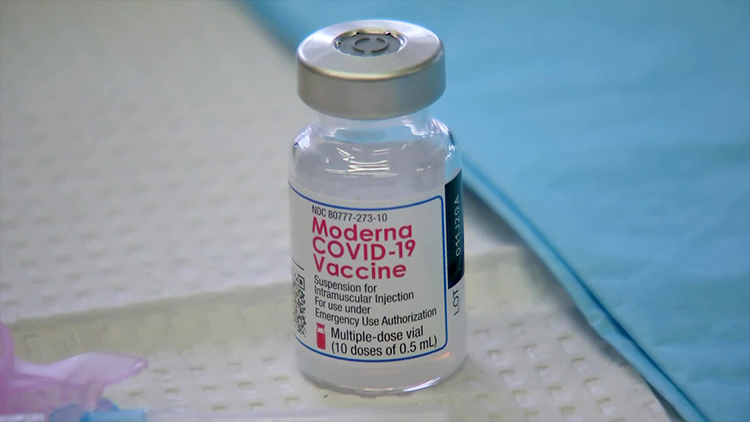 모더나 백신 국내사용 허가…화이자 백신 1차접종 재개