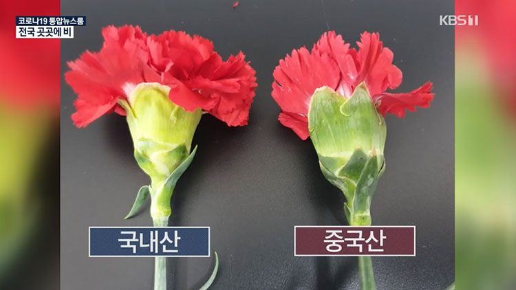 ‘수입꽃으로 2배 바가지’…화훼농가 두 번 울리는 원산지 위반