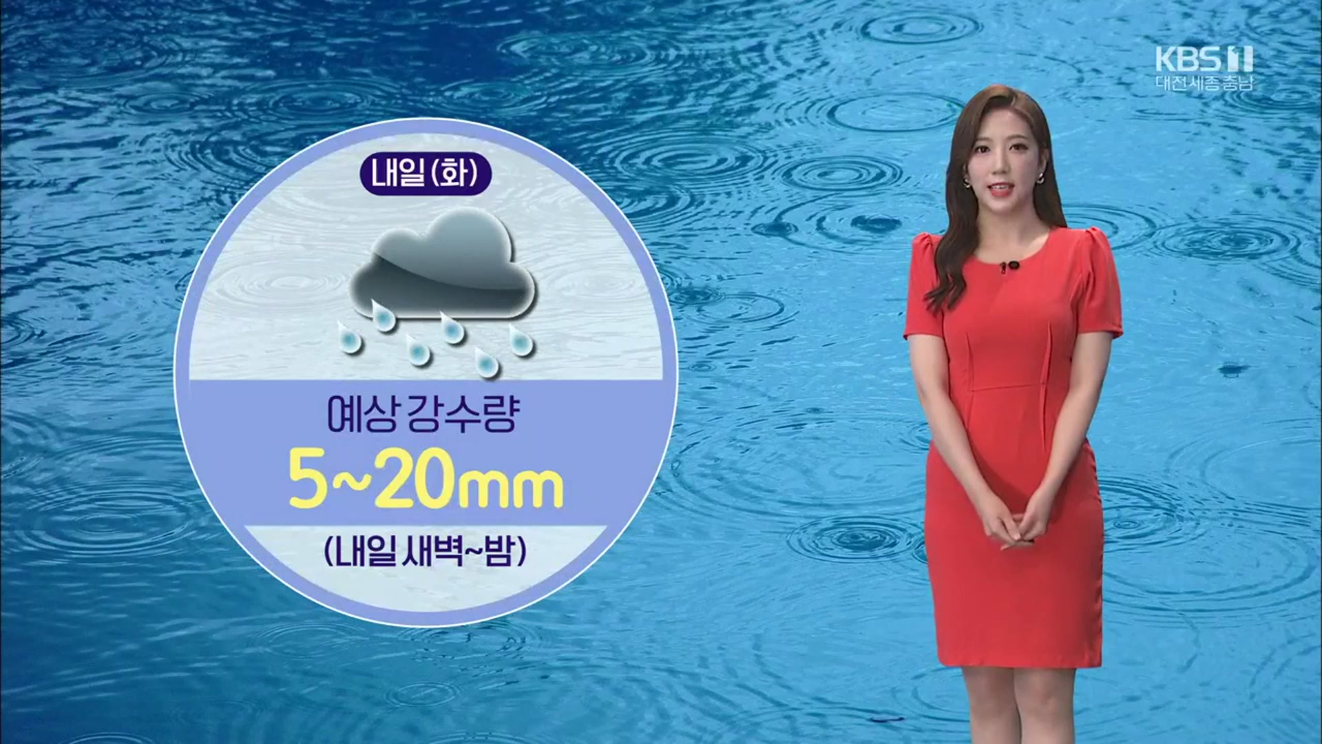 [날씨] 대전·세종·충남 내일 새벽부터 비…“출근길 우산 필수”