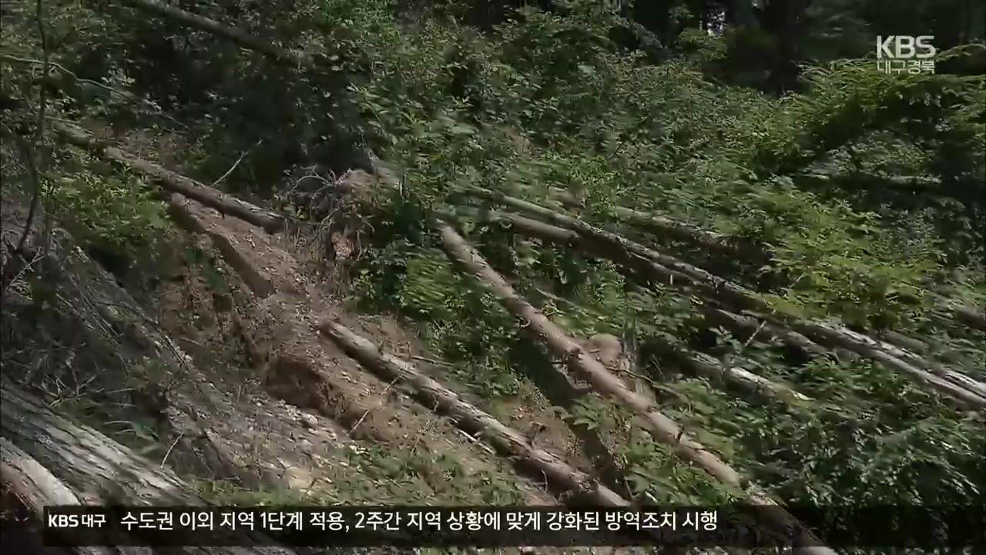 대규모 산사태 유발 ‘땅밀림’…경북 곳곳서 확인