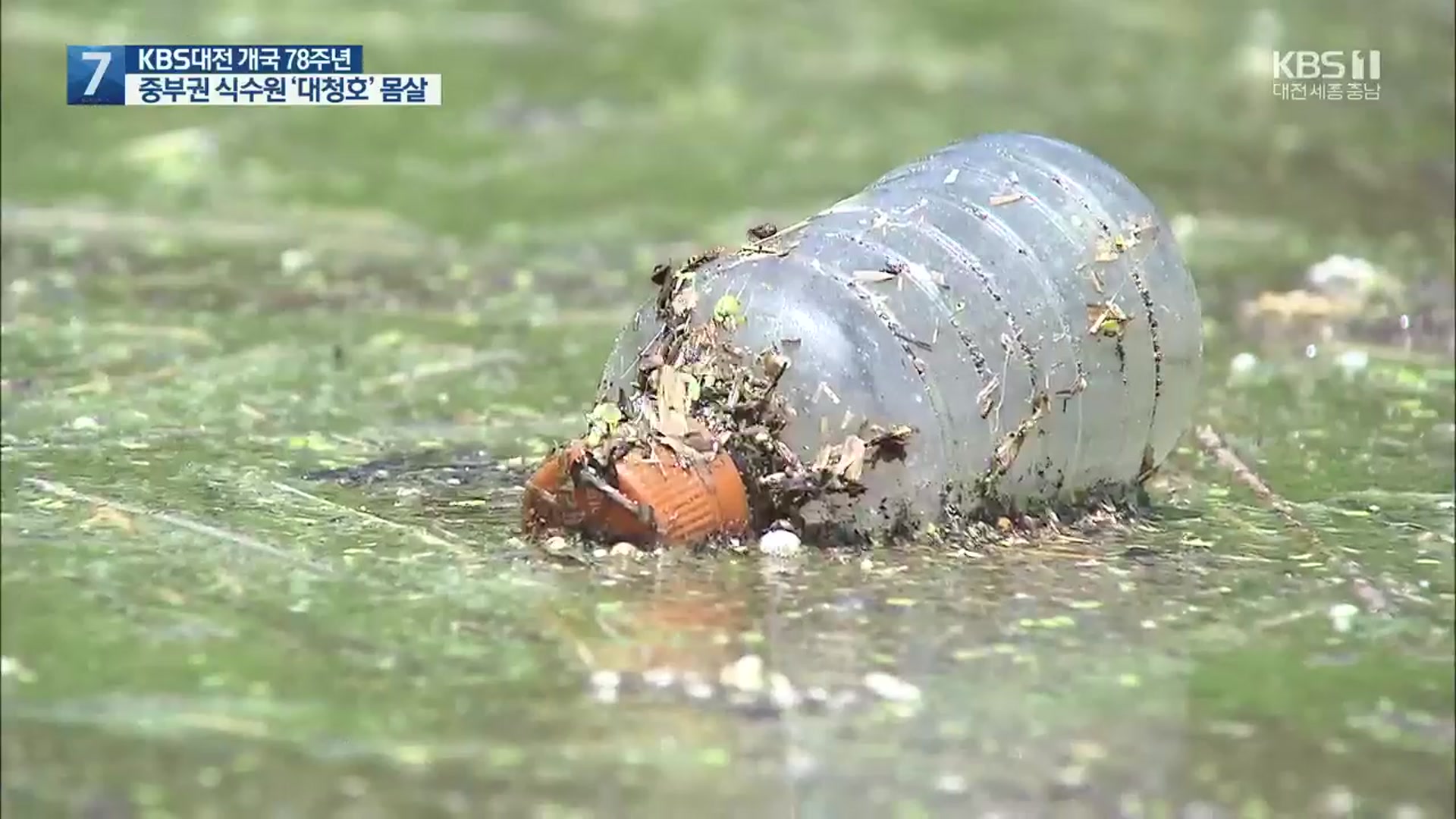 쓰레기에 녹조까지…충청권 젖줄 ‘대청호’ 몸살