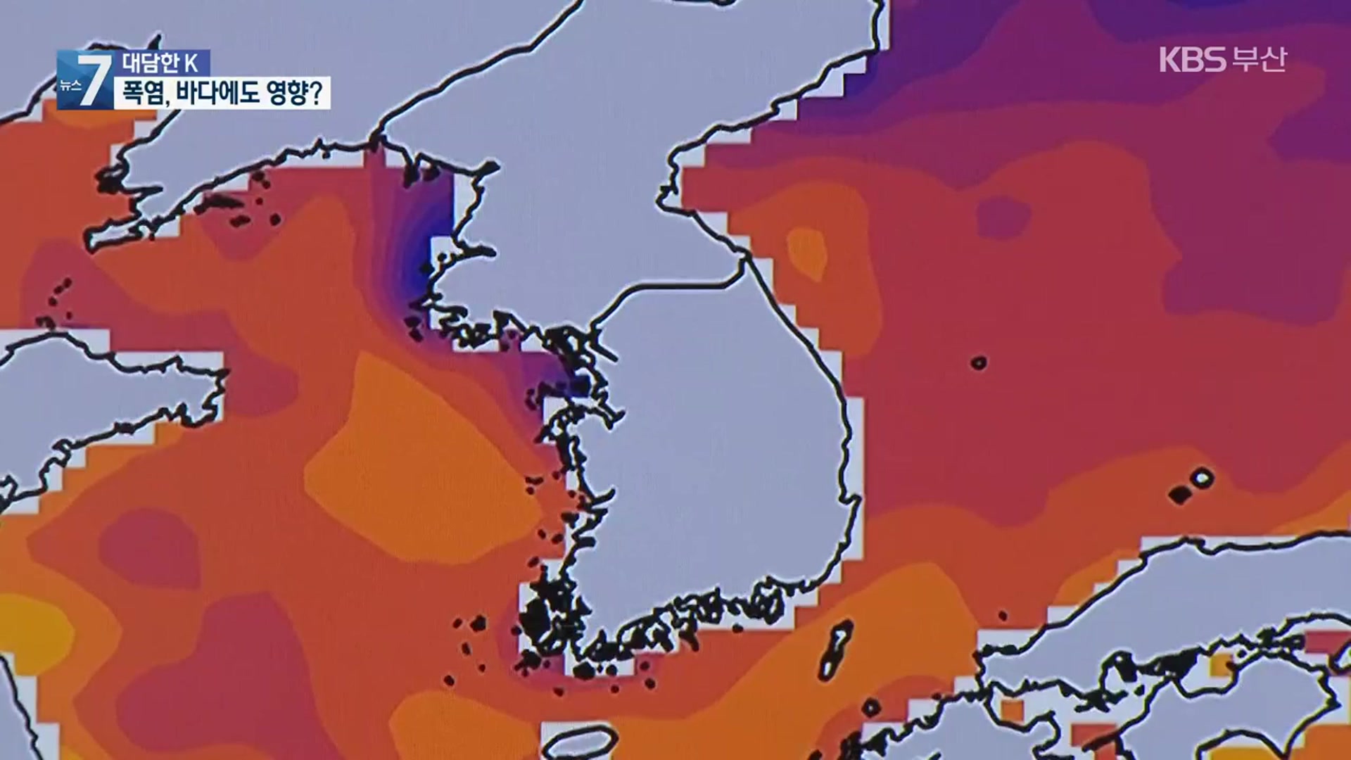 [대담한K] 올여름 폭염, 바다에도 영향?