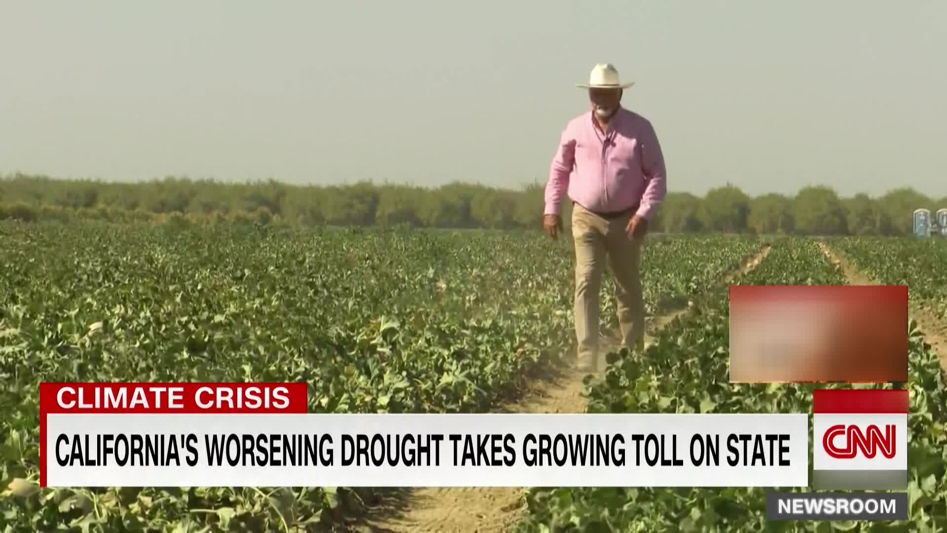 가뭄으로 울상 된 아메리칸드림 농장들
