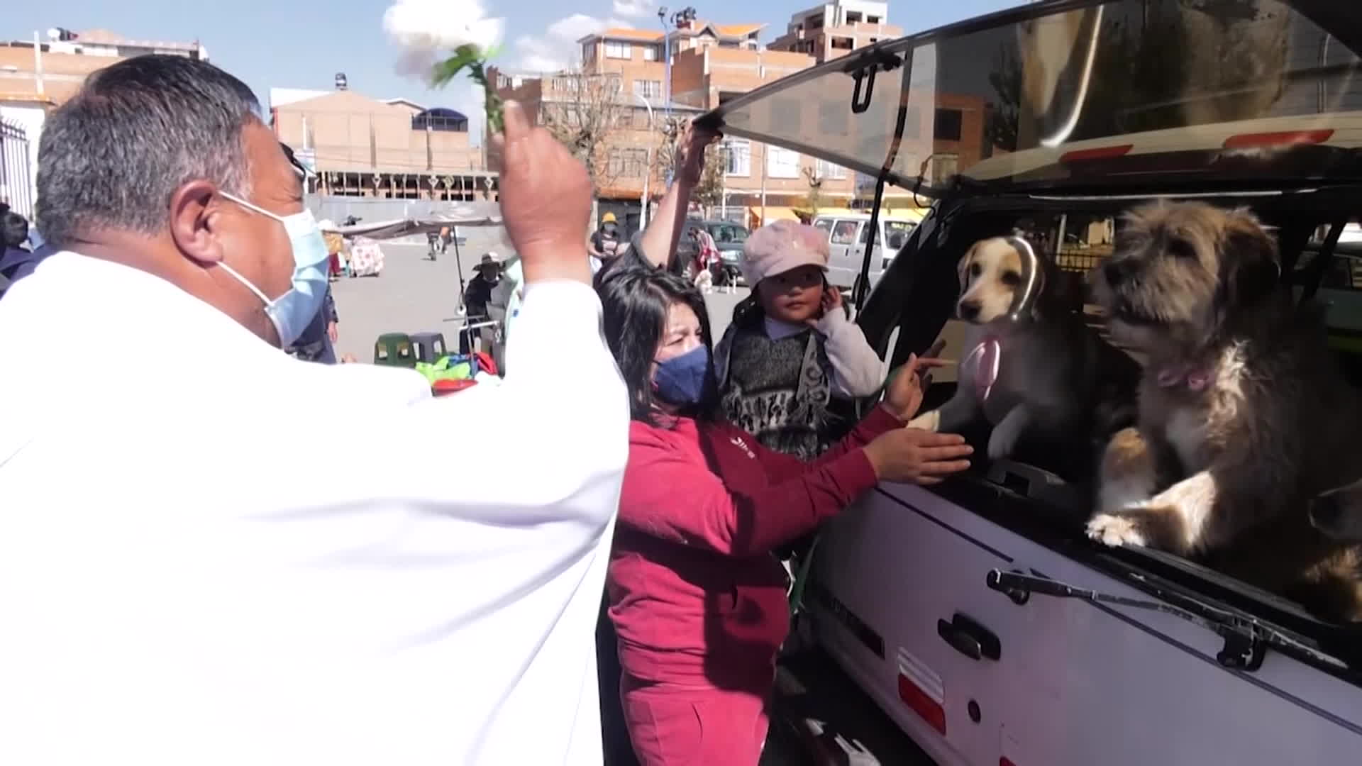 [지구촌 Talk] 볼리비아, 세례식 주인공은 ‘반려동물’