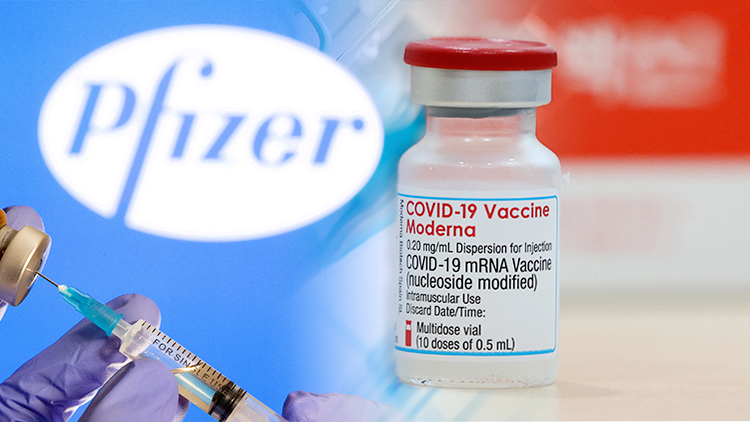 오늘 mRNA 백신 간격 단축 개별 통보…미접종자 예약률 5.3% 그쳐