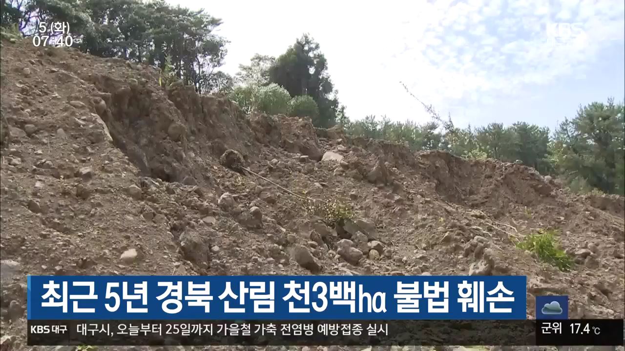 최근 5년 경북 산림 천3백ha 불법 훼손