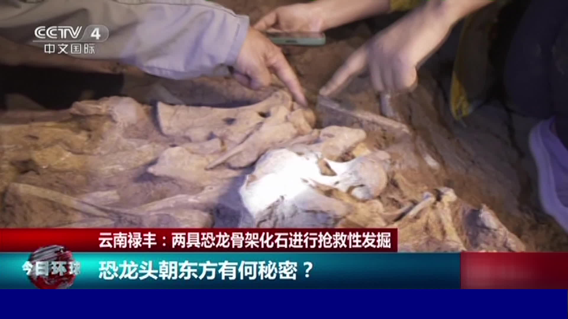 중국 윈난성에서 공룡 화석 두 구 발견