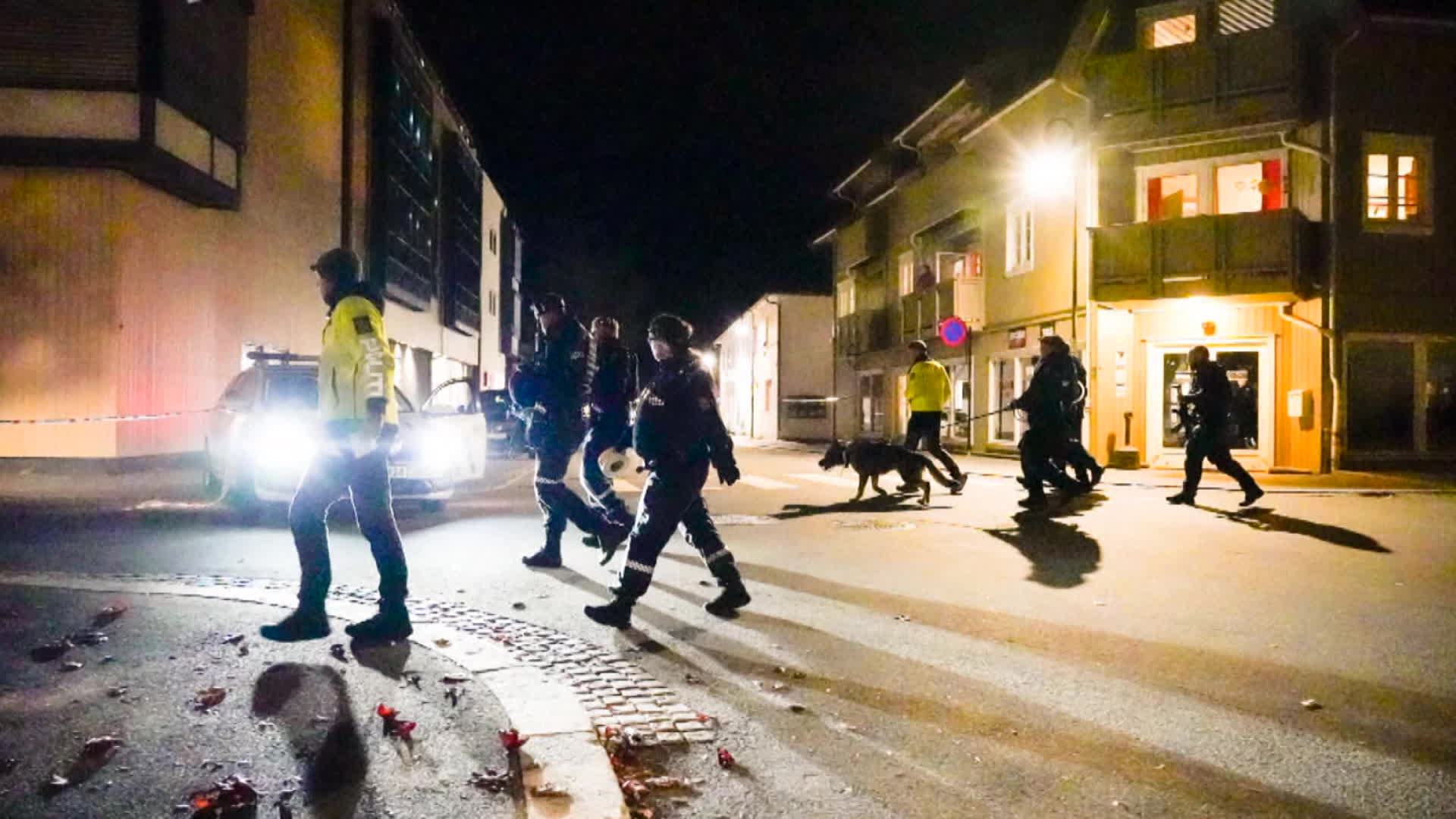 노르웨이 거리에서 화살 난사…5명 사망·테러 가능성 수사