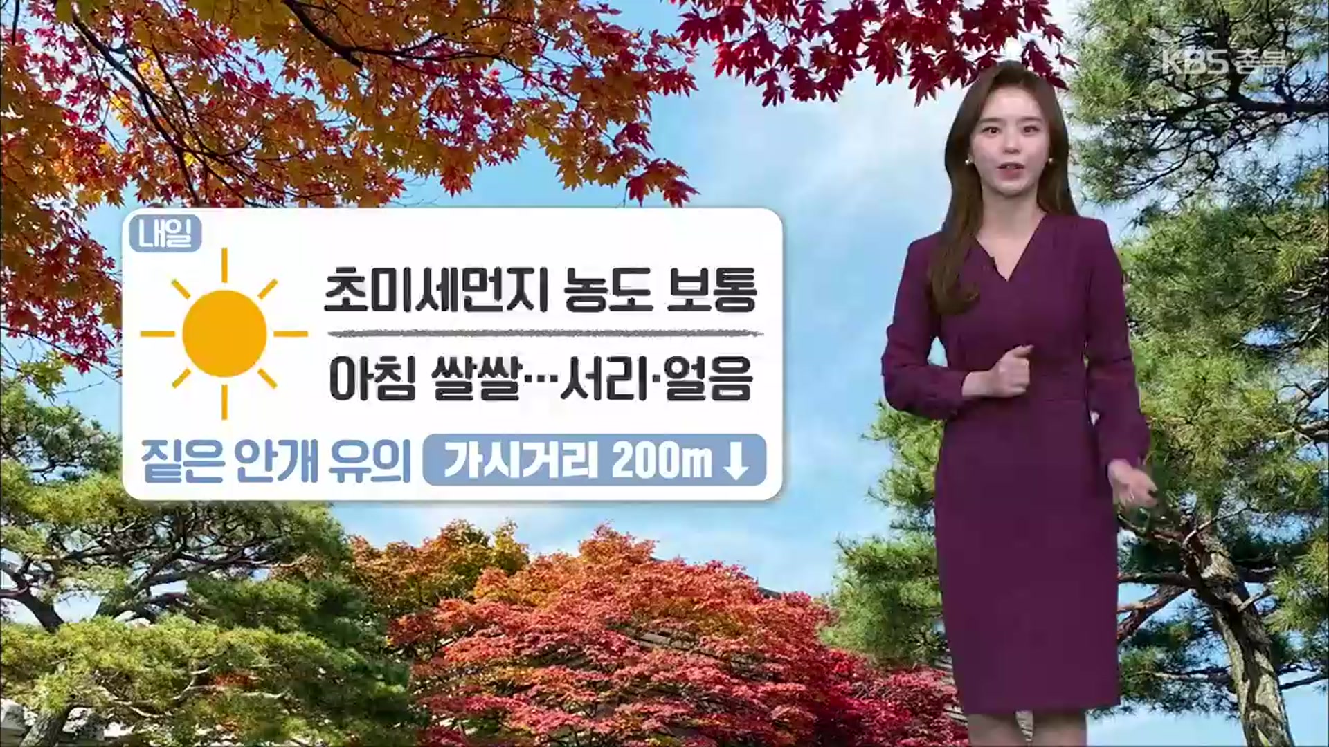 [날씨] 충북 내일 아침 쌀쌀…일교차·짙은 안개 유의