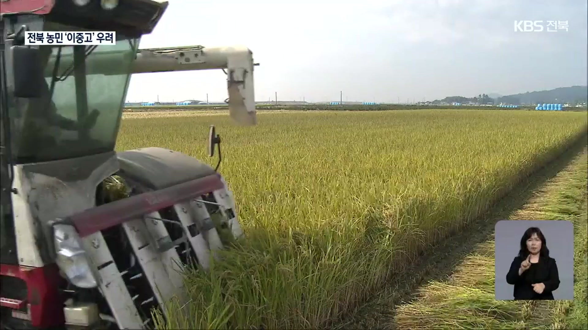 “벼 수확 줄었는데 쌀값은 하락?”…전북 농민 이중고 우려