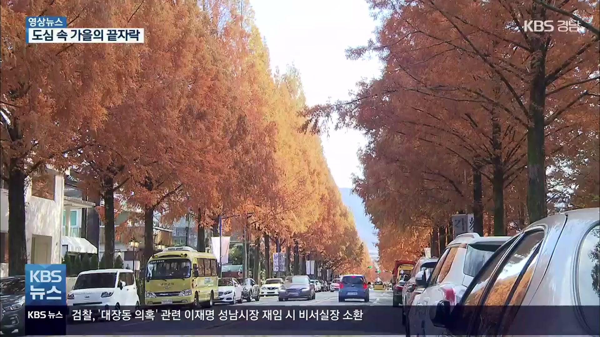[영상] 도심 속 가을의 끝자락