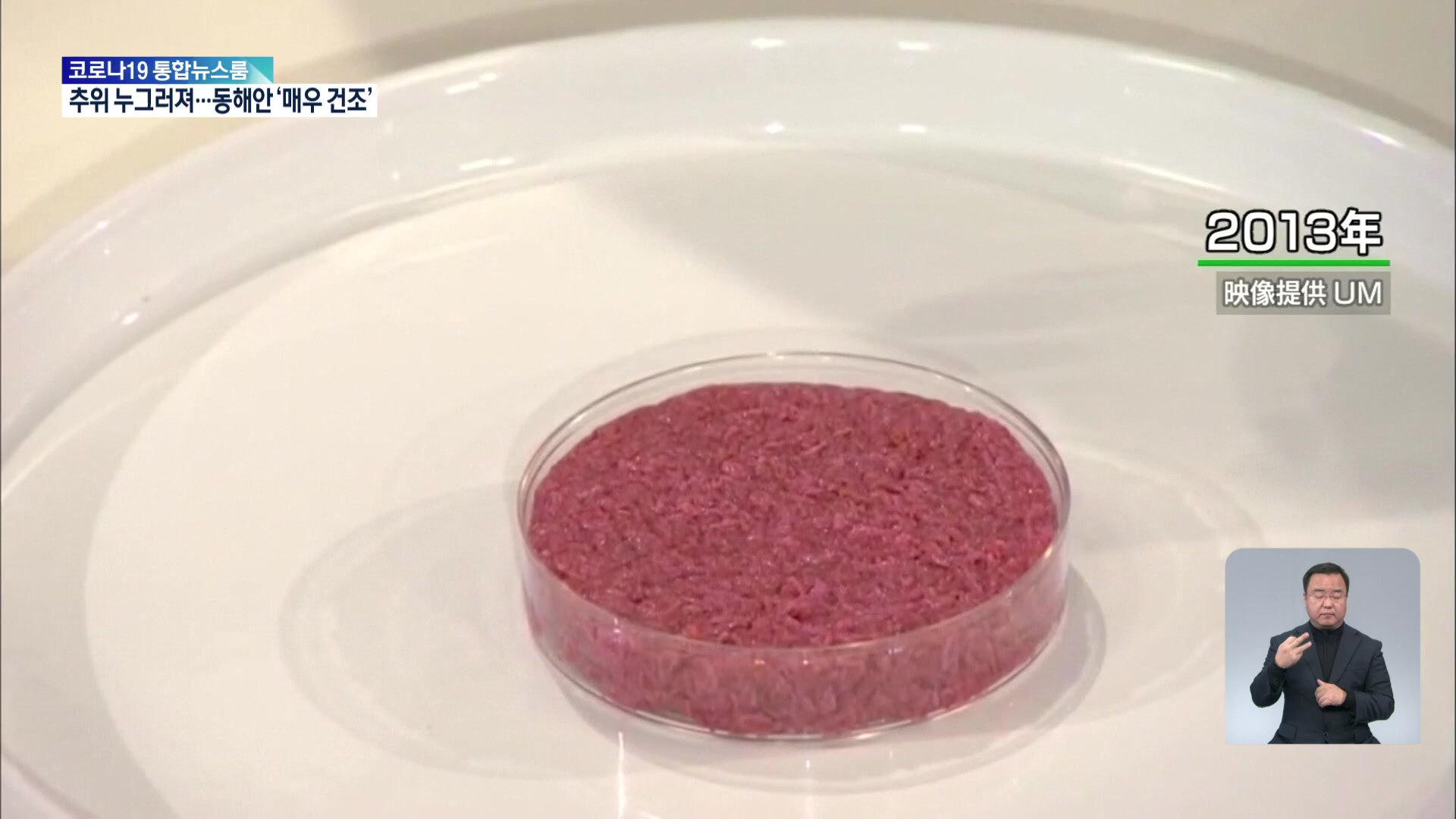 일본, 동물 세포 배양해서 만든 고기 ‘배양육’