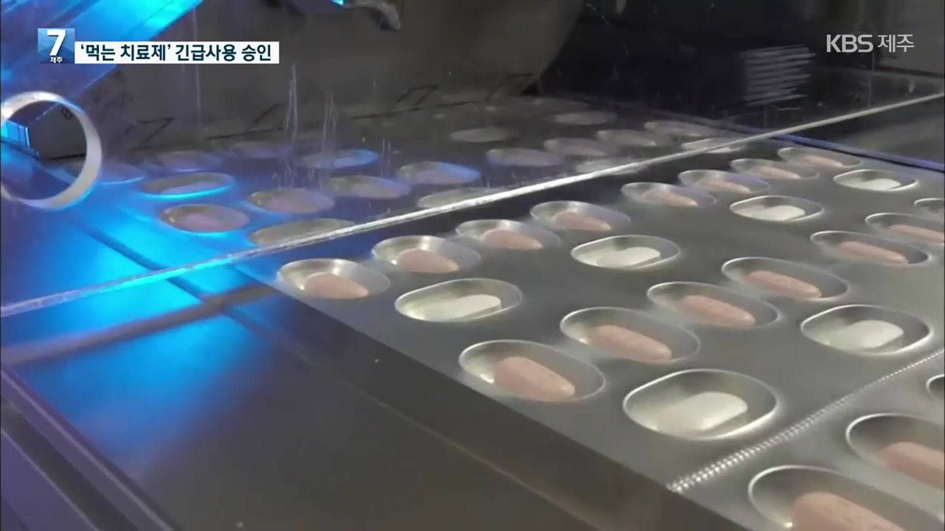 식약처, 화이자 먹는 치료제 ‘팍스로비드’ 긴급사용 승인