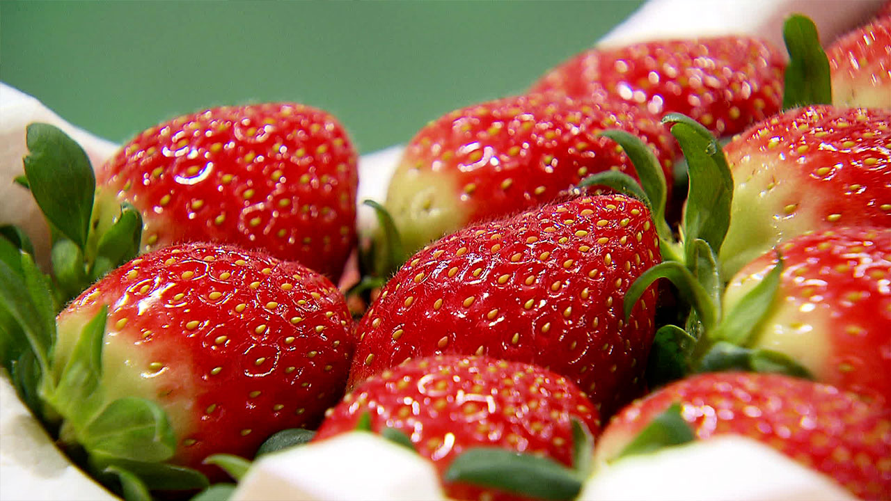 딸기값 70% 이상 급등…왜?