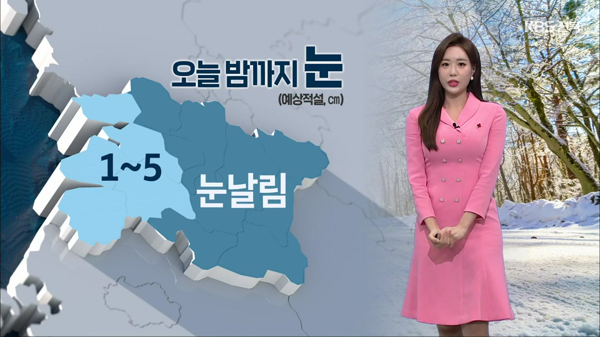 [날씨] 전북 오늘 밤까지 1~5cm 눈…내일까지 추워