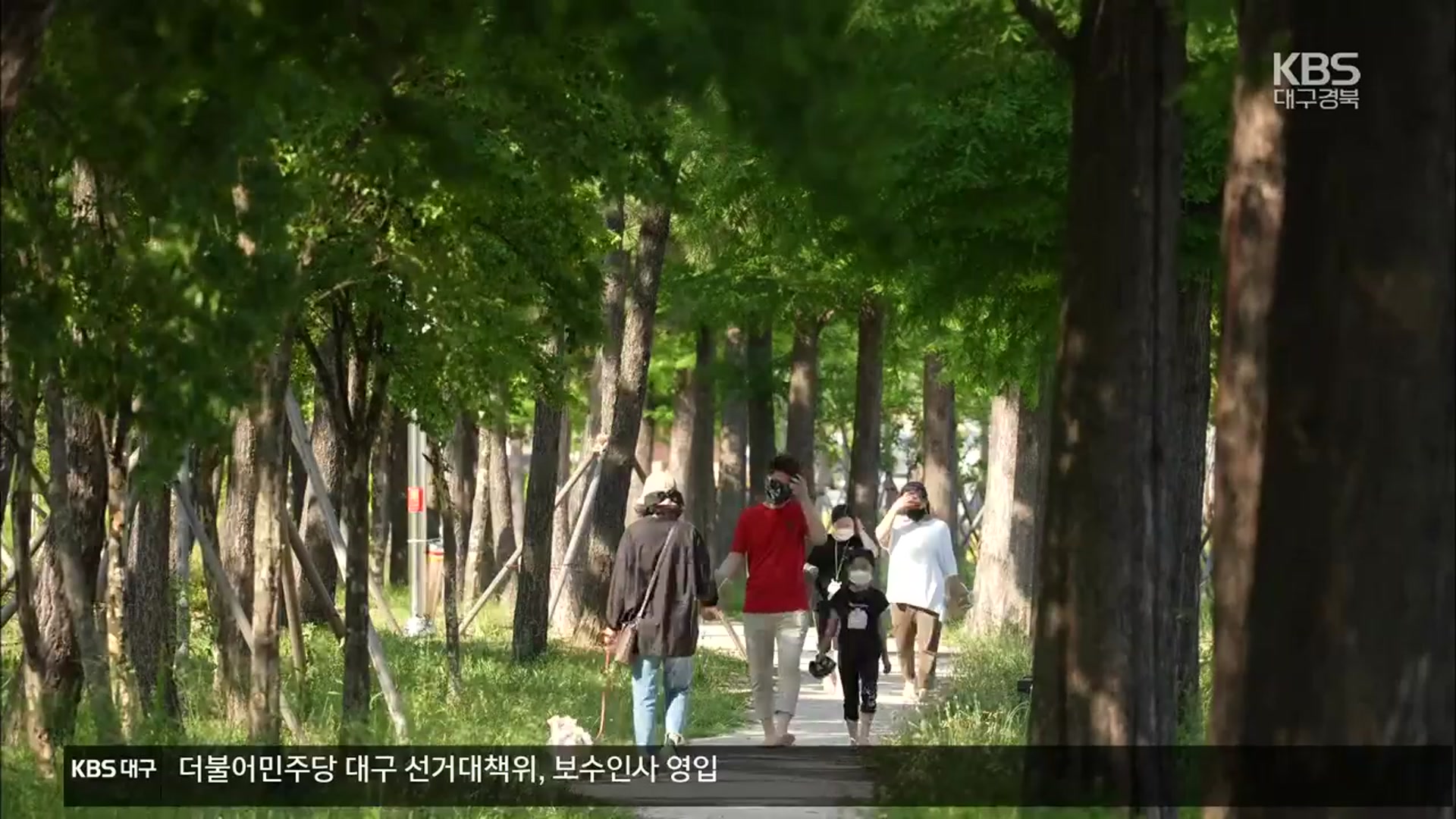 [여기는 포항] 도시숲, 미세먼지 차단·수익 창출 ‘일석이조’