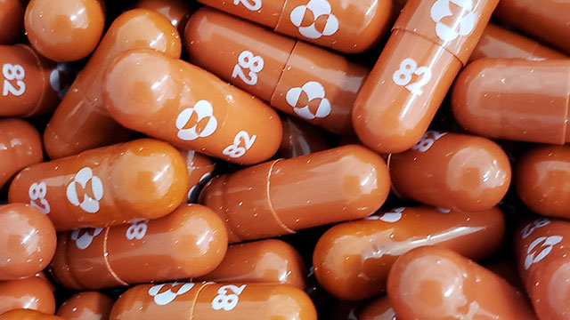 국내에서도 코로나19 먹는치료제 복제약 생산