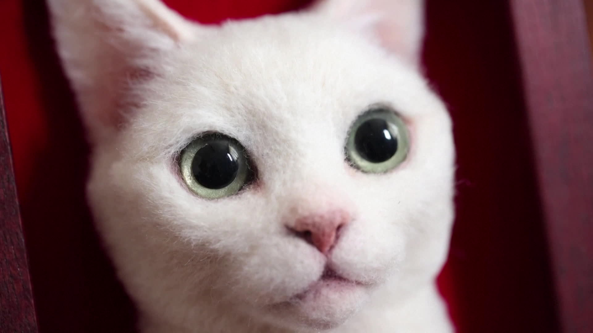 [지구촌 Talk] “진짜 고양이 아니야?”…3D 고양이 초상화