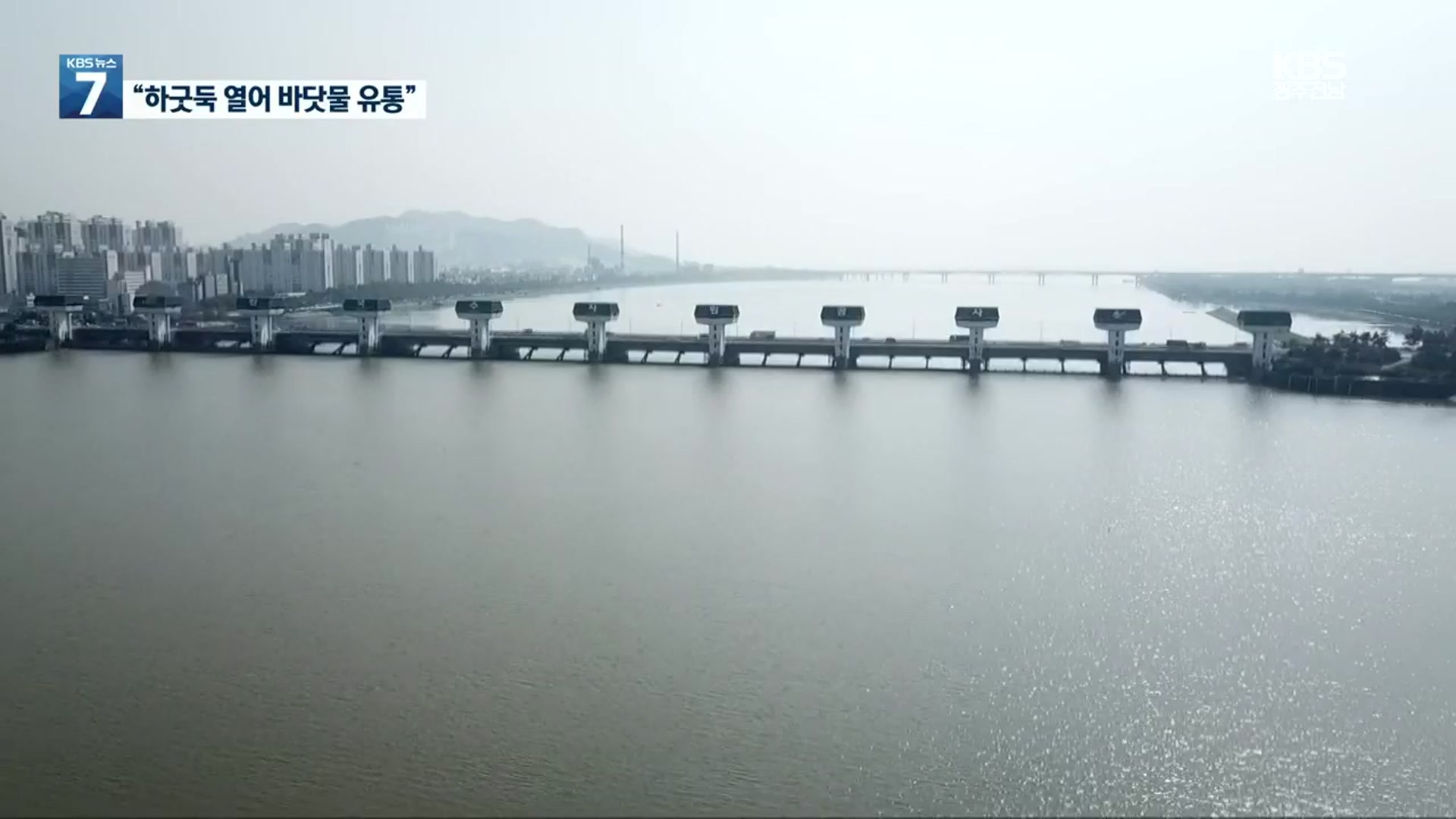 “4대강 하구 생태복원 국정과제로”…영산강 하굿둑 개방은?