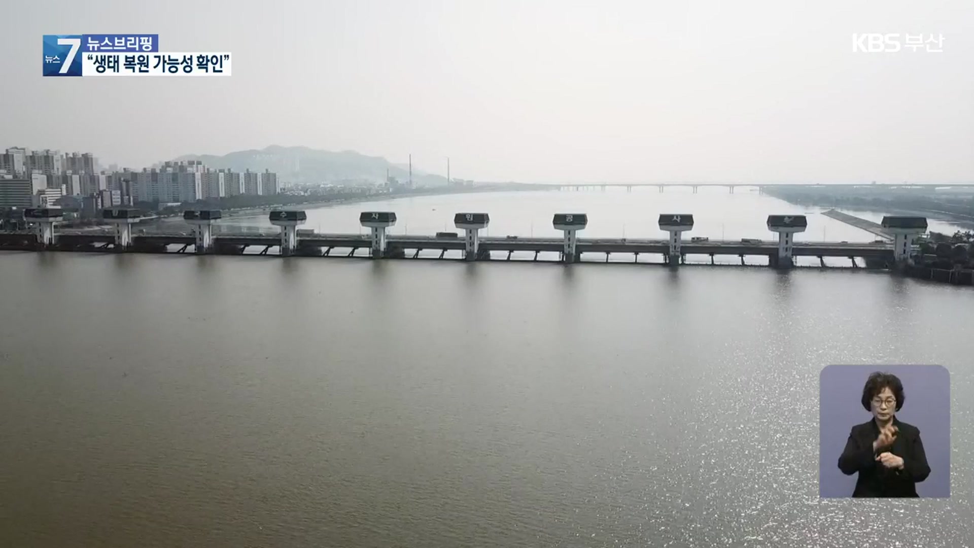 낙동강 하굿둑 매달 개방…기수생태계 회복 청신호