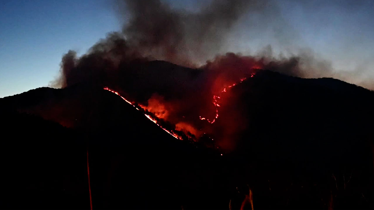 경북 영덕 산불 확산…2백여 가구 대피