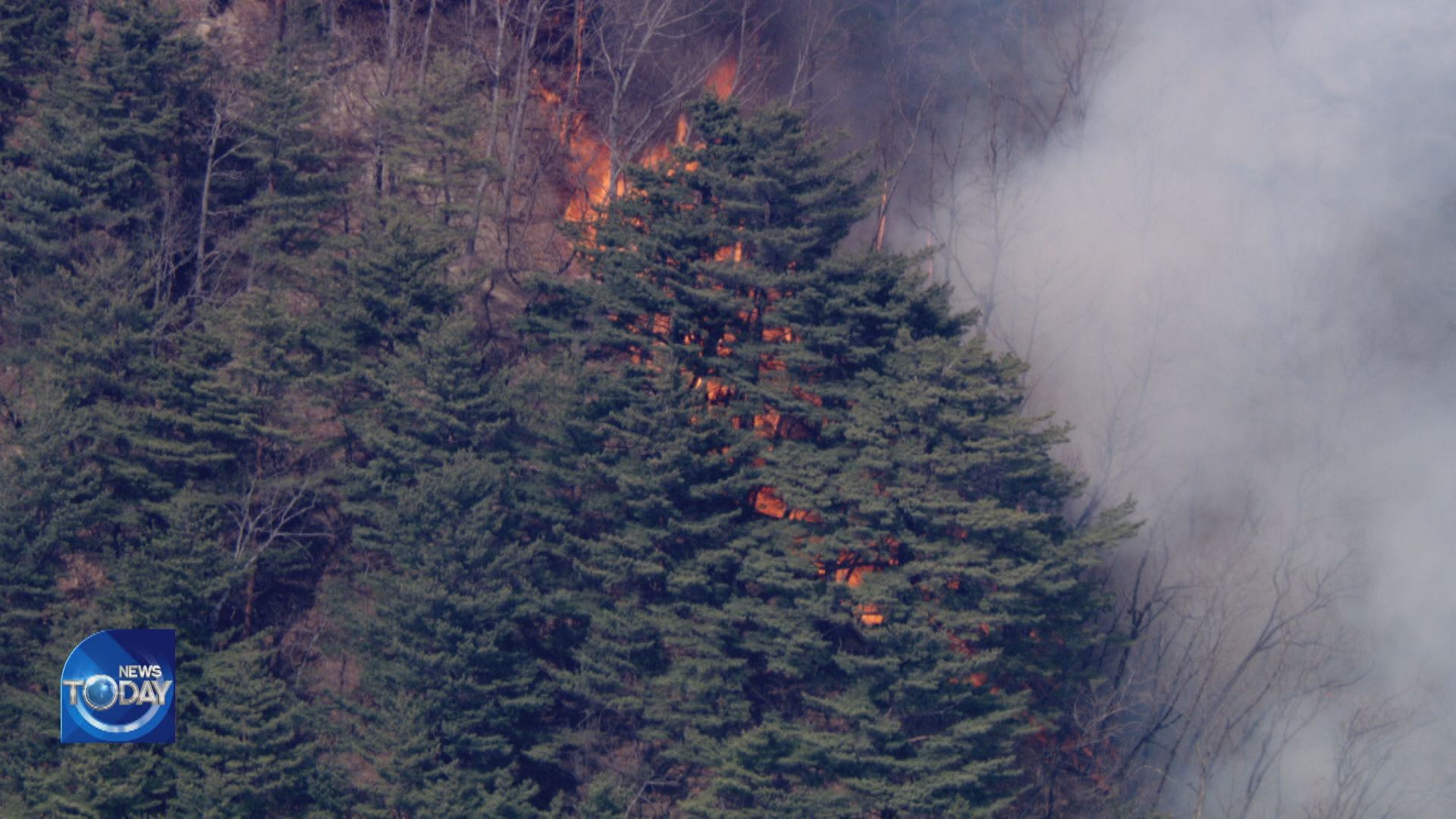 WILDFIRES CONTINUE TO RAGE