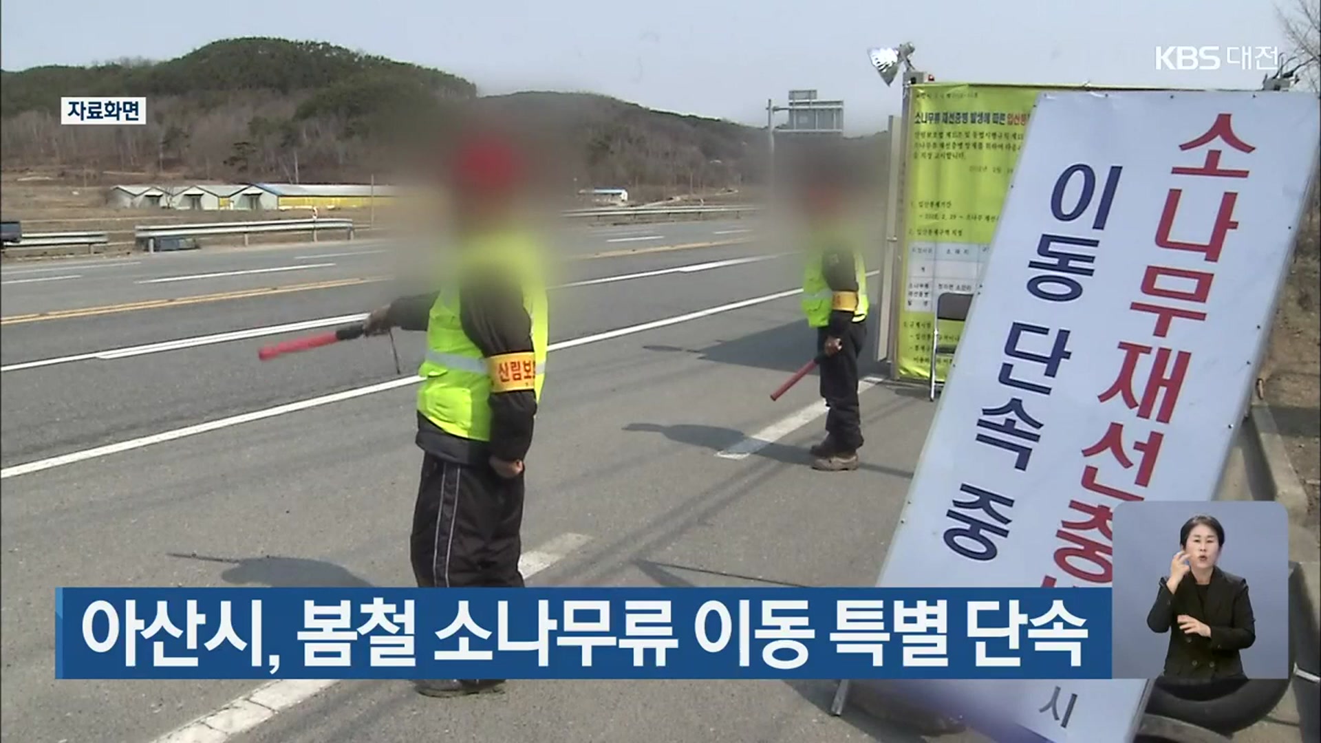 아산시, 봄철 소나무류 이동 특별 단속