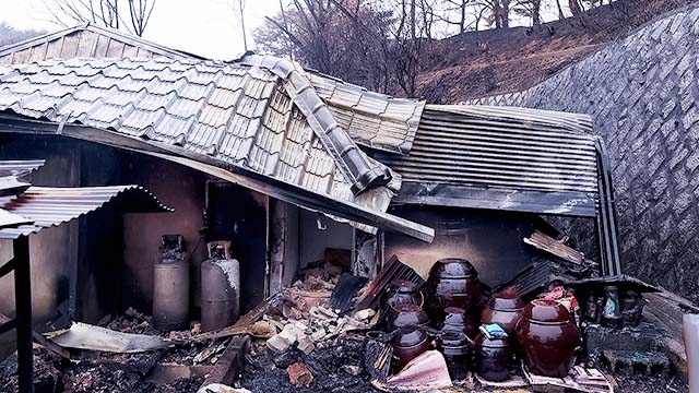 역대 최장 울진 산불 진화…본격 피해 복구 작업 시작