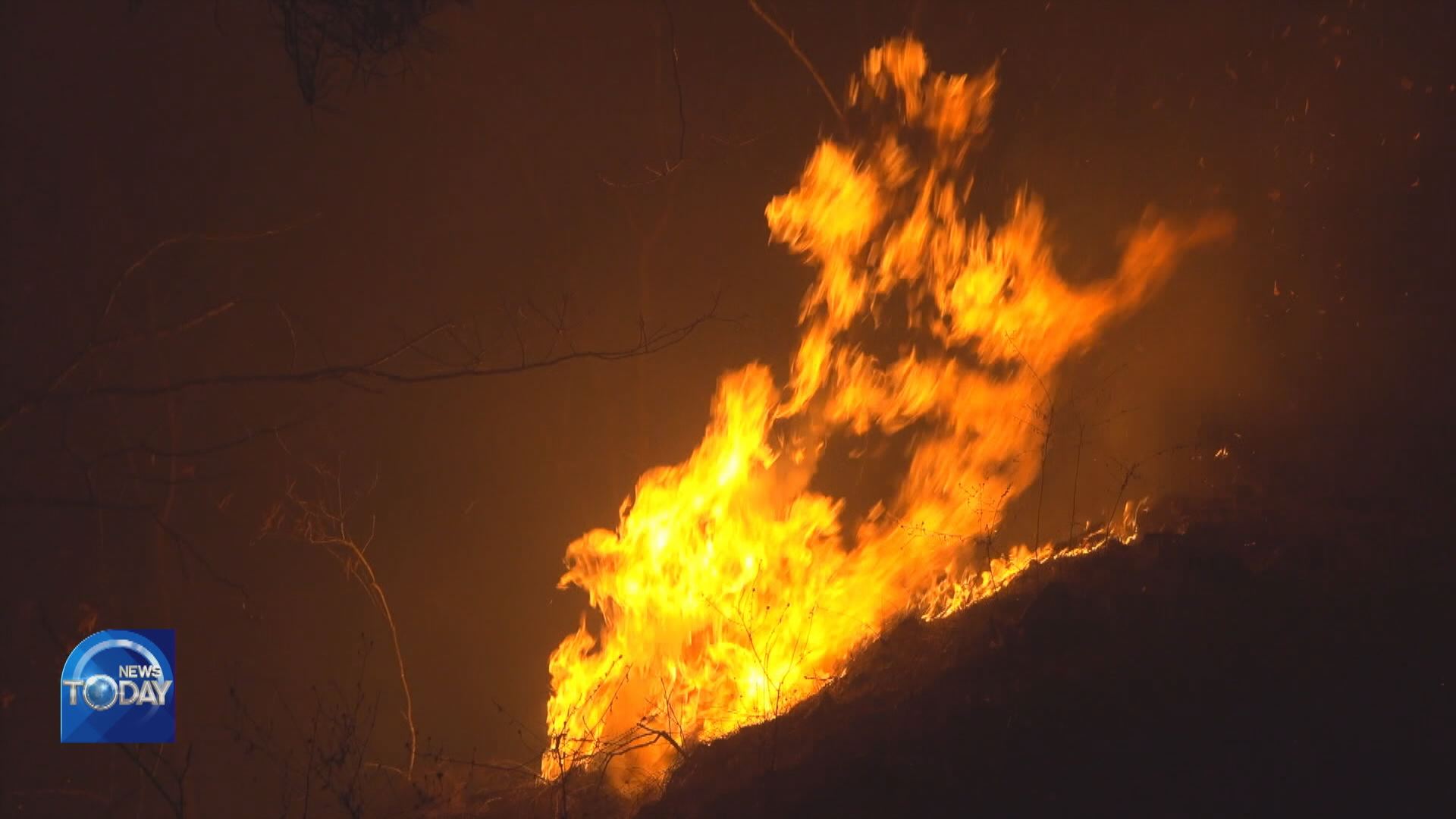 FOREST ROAD IN CONTAINING FLAMES