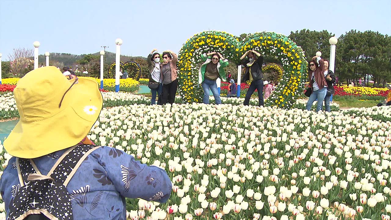 3년 만에 돌아온 ‘꽃축제’…2백 만 송이 튤립의 향연
