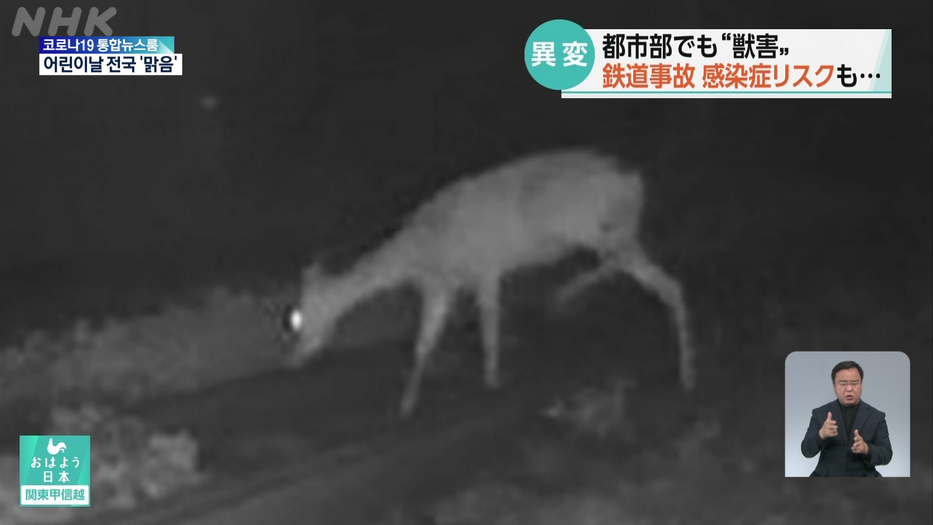 일본, 도심지역의 잇따른 ‘야생동물 주의보’