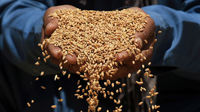 “곡물가 상승 지속 가능성…국제 공조 강화해야”