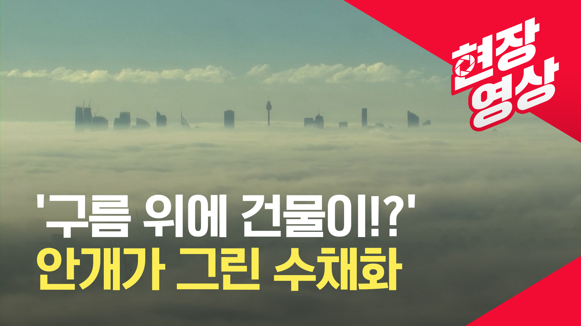 [현장영상] ‘구름 위에 건물을 지은 듯’ 안개가 그린 수채화