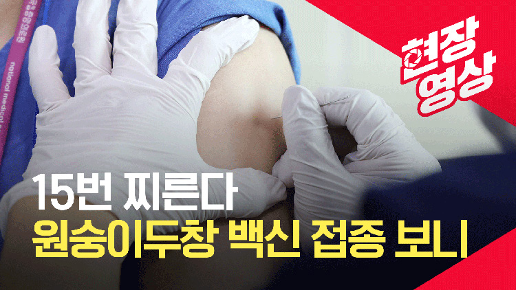 [현장영상] 15번 찌르기…원숭이두창 백신 접종은 이렇게