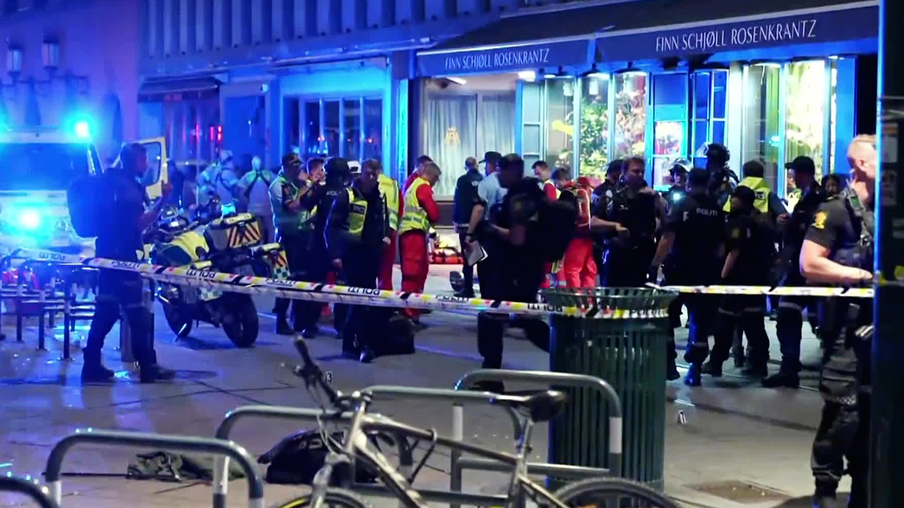 덴마크 쇼핑몰 총격으로 3명 사망·3명 중태…“22살 남성 용의자 체포”
