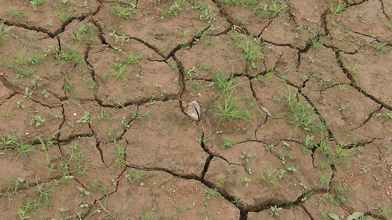 남부지방 마른 장마…가뭄해소 역부족